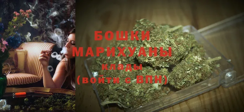 наркошоп  Чистополь  Бошки Шишки White Widow 